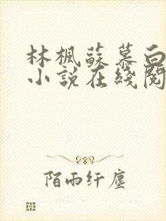 林枫苏慕白穿越小说在线阅读
