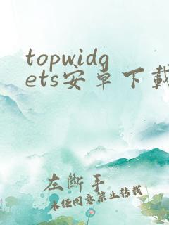 topwidgets安卓下载