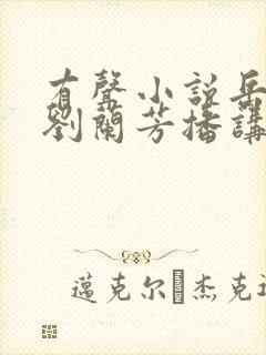 有声小说岳飞传刘兰芳播讲