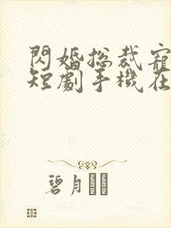 闪婚总裁宠上天短剧手机在线观看