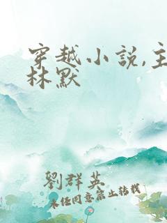 穿越小说,主角林默