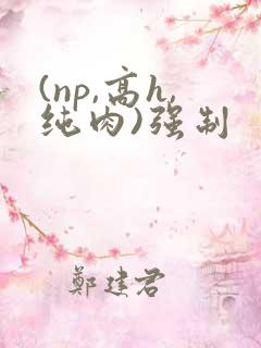 (np,高h,纯肉)强制