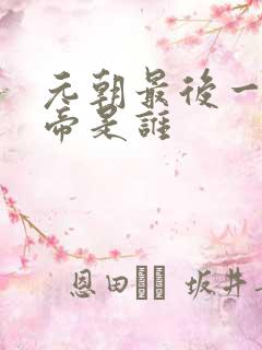 元朝最后一位皇帝是谁
