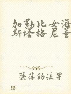 加勒比女海盗2斯塔格尼蒂的复仇