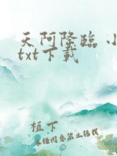 天阿降临 小说txt下载