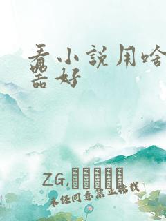 看小说用啥阅读器好