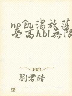 np饥渴放荡总受高hbl无限流