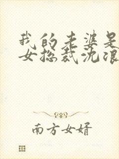 我的老婆是冰山女总裁沈浪最新版