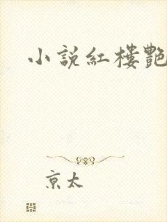 小说红楼艳梦
