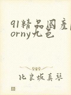 91精品国产porny九色