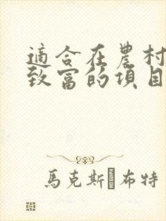 适合在农村创业致富的项目