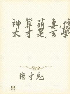 神算萌妻,傅太太才是玄学真大佬