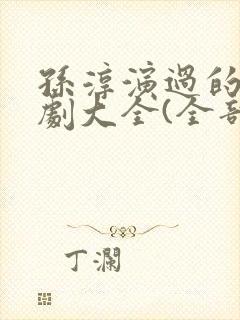 孙淳演过的电视剧大全(全部)
