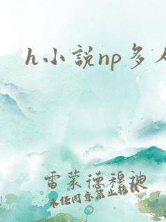 h小说np多人
