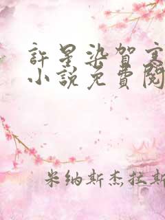 许星染贺寒声的小说免费阅读无弹窗