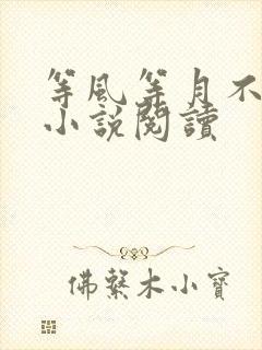 等风等月不等你小说阅读