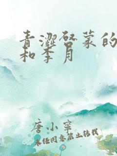 青涩启蒙的张勇和李月 青涩启蒙的张勇和李月