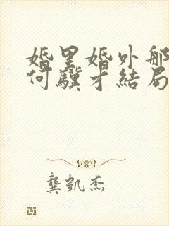 婚里婚外那些事何骥才结局
