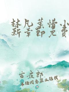 林凡叶惜小说最新章节免费阅读