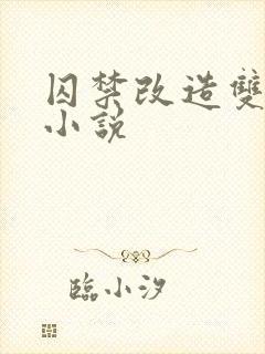 囚禁改造双男主小说