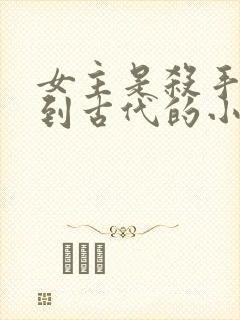 女主是杀手穿越到古代的小说