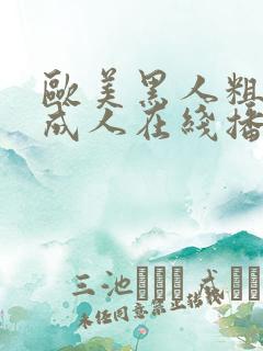 欧美黑人粗又大成人在线播放