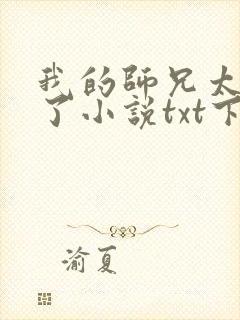 我的师兄太稳健了小说txt下载