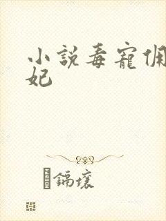 小说毒宠佣兵王妃