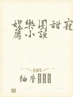 娱乐圈甜宠文推荐小说