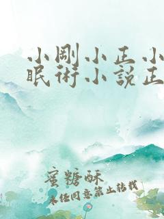 小刚小正小柔催眠术小说正版阅读