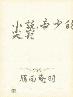 小说,帝少的心尖宠