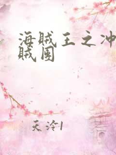 海贼王之冲击海贼团