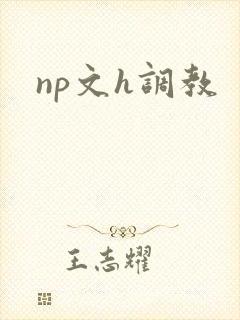 np文h调教