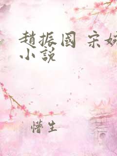 赵振国 宋婉清小说