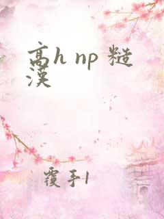 高h np 糙汉