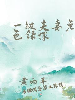 一级夫妻免费黄色录像