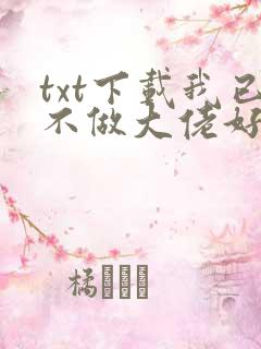 txt下载我已不做大佬好多年