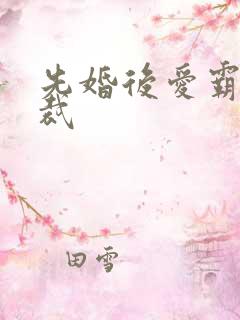 先婚后爱霸道总裁