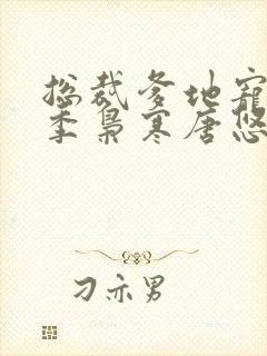 总裁爹地宠上天季枭寒唐悠悠