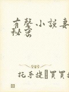 有声小说妻子的秘密