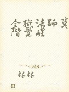 全职法师莫凡中阶觉醒