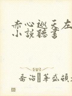 赤心巡天左光烈小说听书