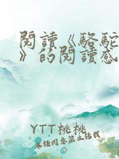 阅读《骆驼祥子》的阅读感受