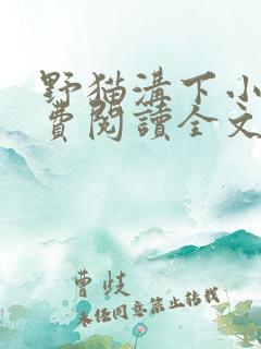 野猫沟下小说免费阅读全文最新章节