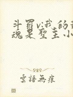 斗罗v:我的武魂是圣主小说完整