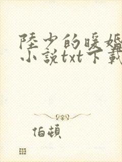 陆少的暖婚新妻小说txt下载全集