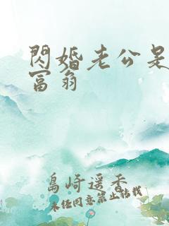 闪婚老公是亿万富翁