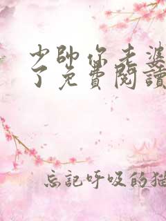 少帅你老婆又跑了免费阅读在线