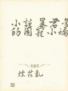 小说 暴君爹爹的团宠小娇包