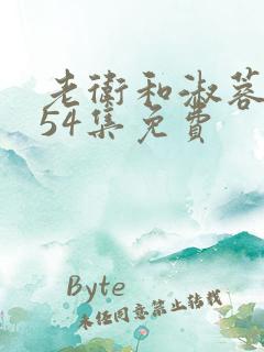 老卫和淑蓉1一54集免费